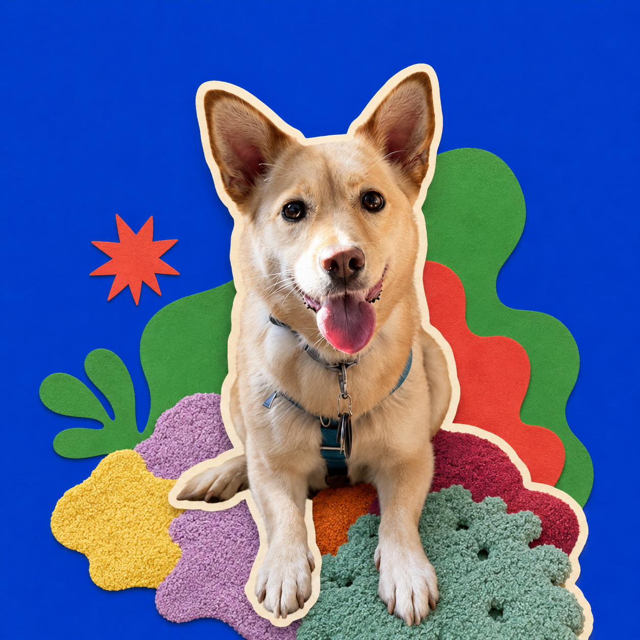 A colorful graphic portrait of Sun smiling